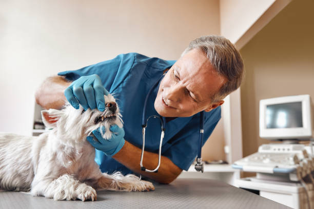 Best Emergency Treatment for Dental Infections or Abscesses in Highland Beach, FL